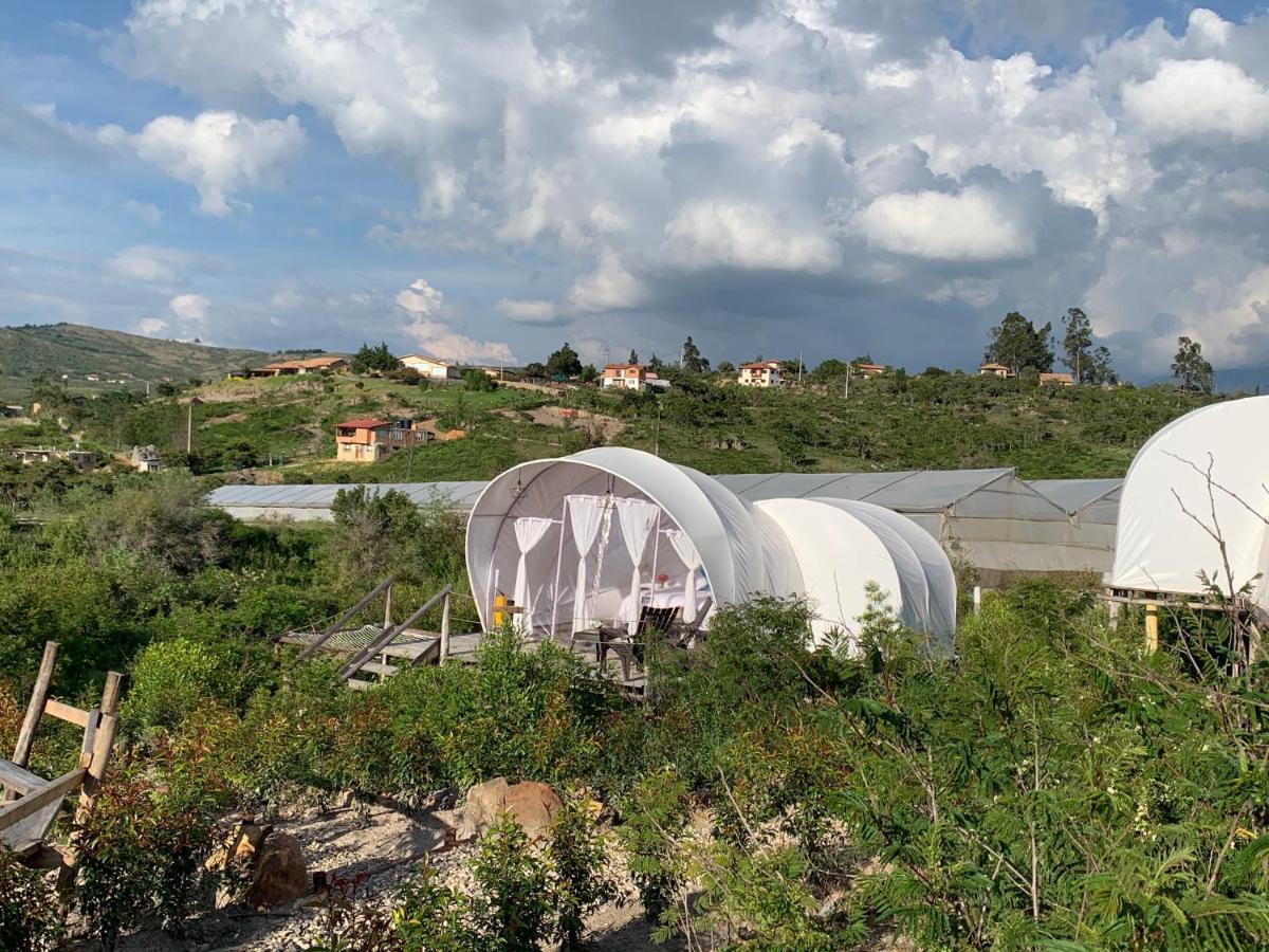 Origen Glamping En Вилья-де-Лейва Экстерьер фото