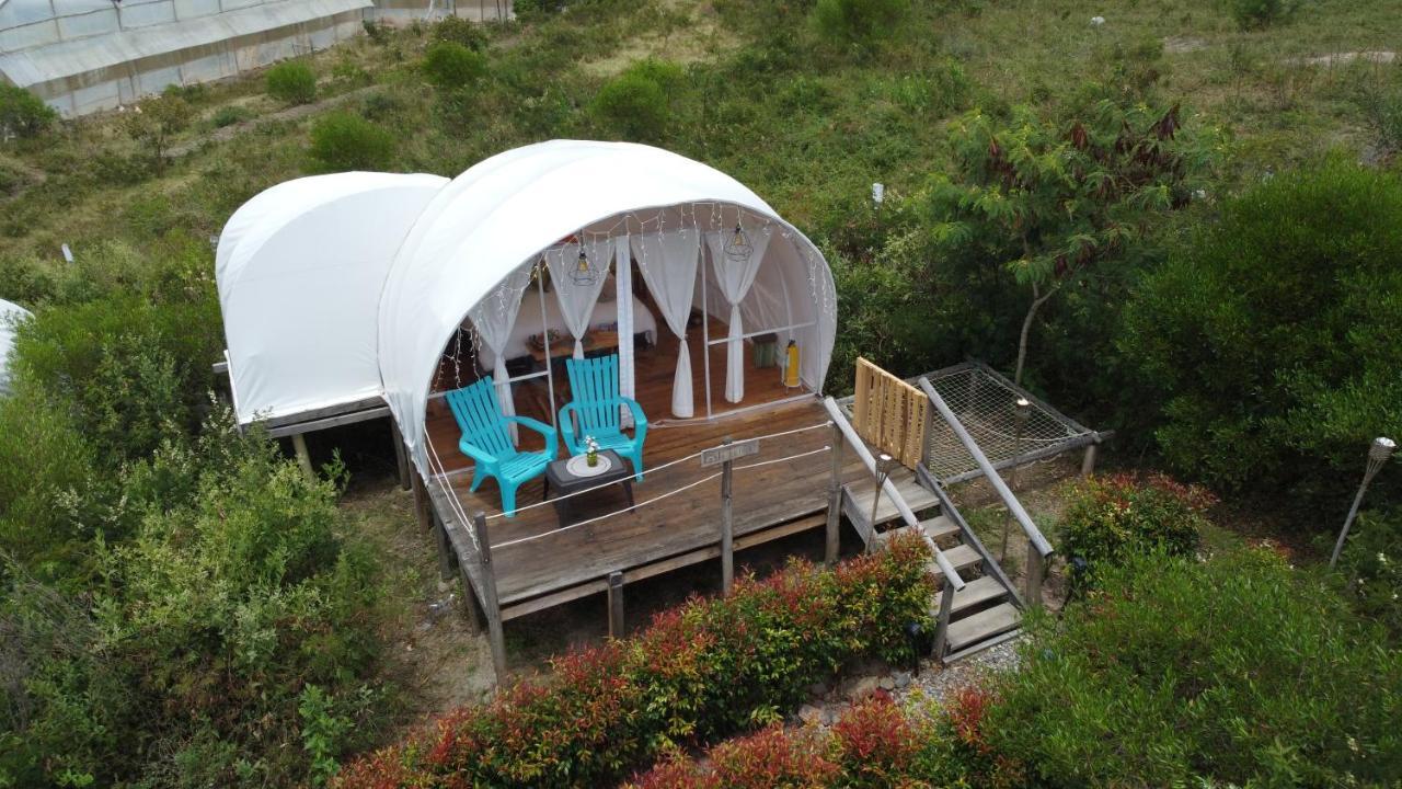 Origen Glamping En Вилья-де-Лейва Экстерьер фото